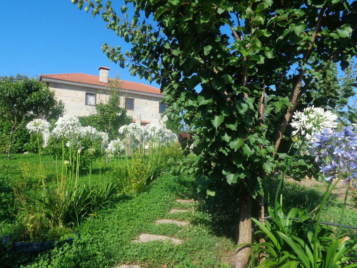 Гостьовий будинок Bernardes House Каштелу-де-Пайва Екстер'єр фото