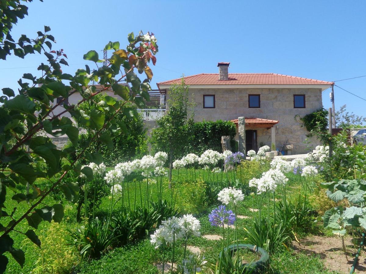 Гостьовий будинок Bernardes House Каштелу-де-Пайва Екстер'єр фото