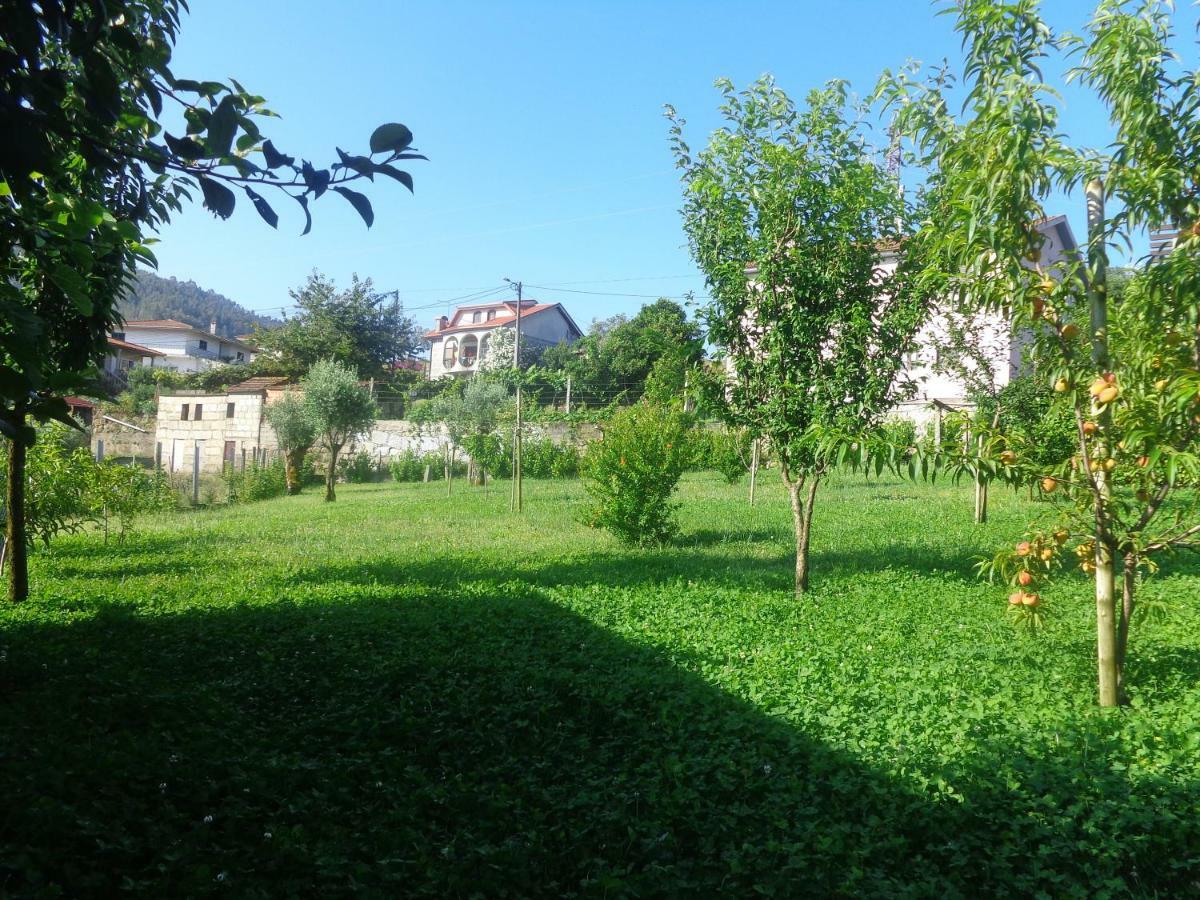 Гостьовий будинок Bernardes House Каштелу-де-Пайва Екстер'єр фото